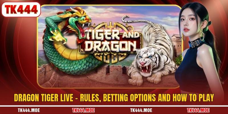 Dragon Tiger Live - Rules, Betting Options And How To Play